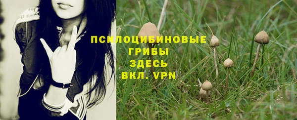 каннабис Вяземский
