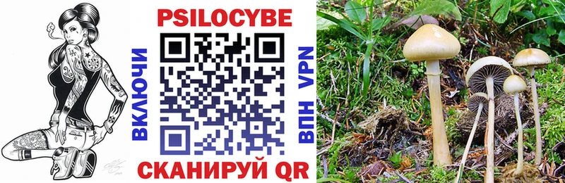 Галлюциногенные грибы прущие грибы  где продают наркотики  Гусь-Хрустальный 
