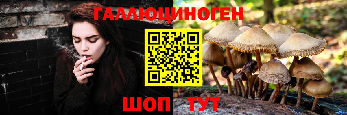 Псилоцибиновые грибы Magic Shrooms Гусь-Хрустальный