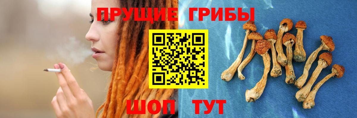 Псилоцибиновые грибы MAGIC MUSHROOMS Гусь-Хрустальный